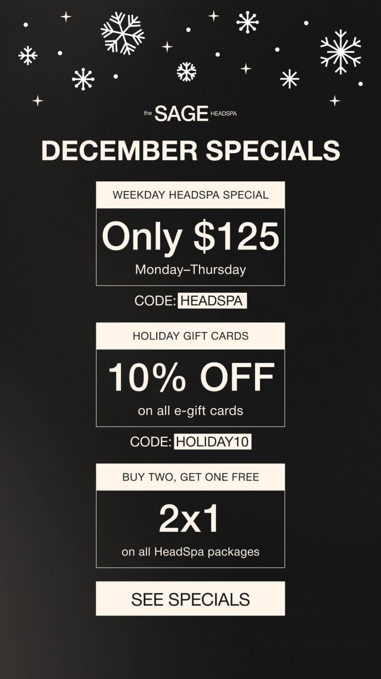 december flyer long december flyer long